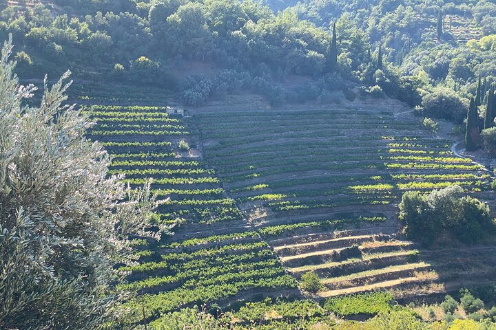Manolates Hiking with Bus Transfer included