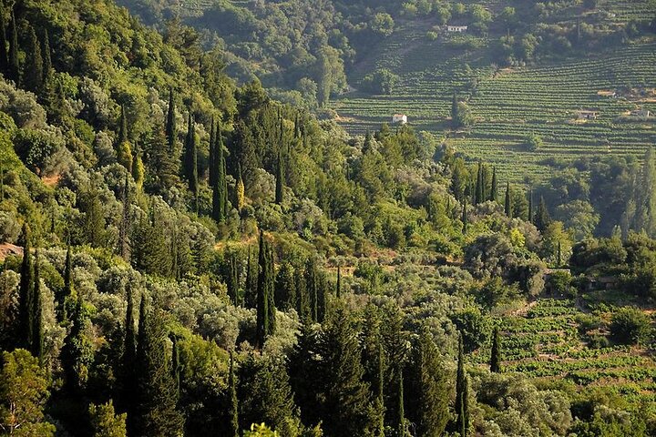 Manolates Hiking with Bus Transfer included