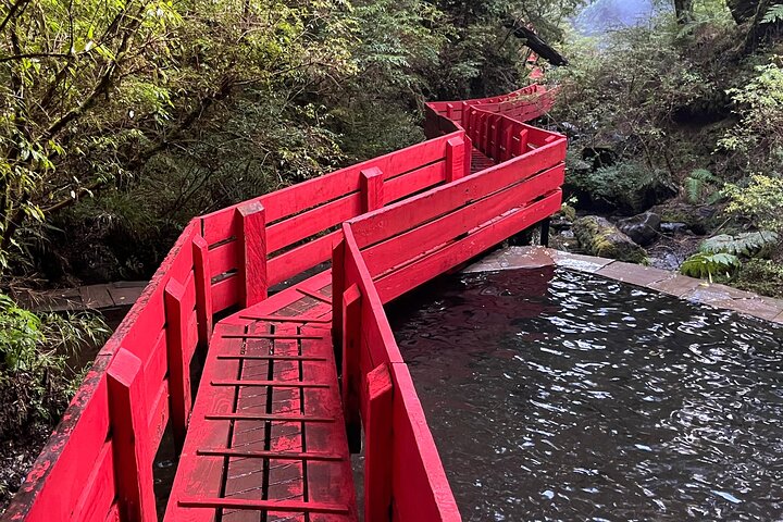 Geometric Baths from Valdivia with lunch