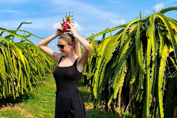 Mui Ne Cable Car Ride in Ta Cu Mountain, Fruit Farm Visit, Coffee