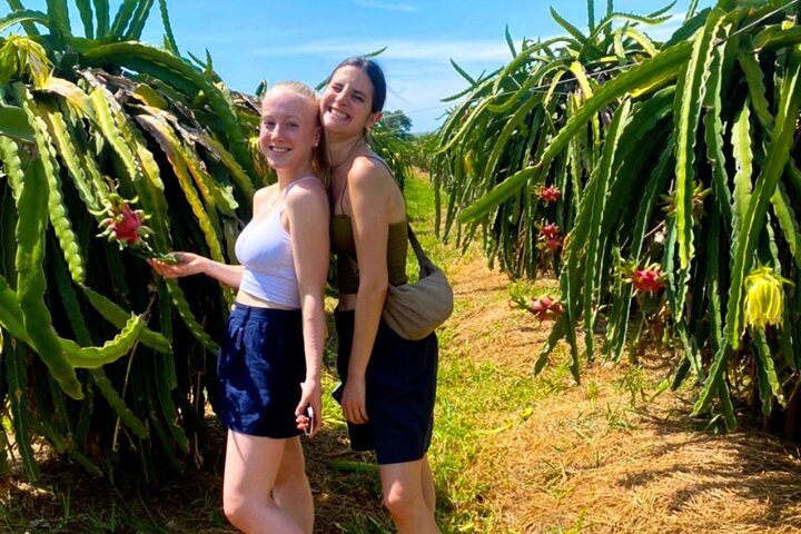 Mui Ne Cable Car Ride in Ta Cu Mountain, Fruit Farm Visit, Coffee