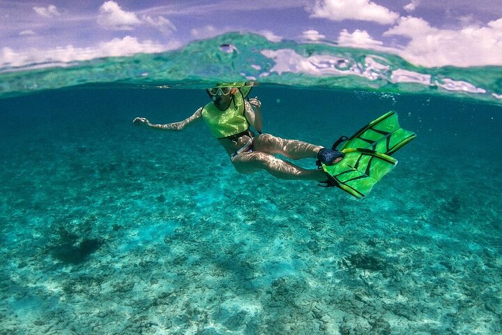 Key Largo Coral Reef Half Day Snorkel Trip