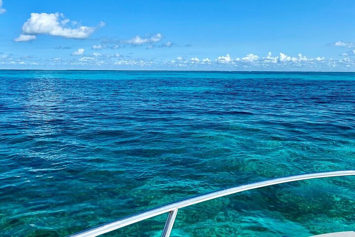 Key Largo Coral Reef Half Day Snorkel Trip