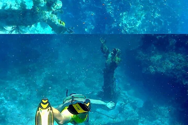 Key Largo Coral Reef Half Day Snorkel Trip
