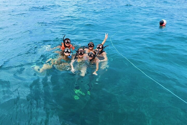 Key Largo Coral Reef Half Day Snorkel Trip