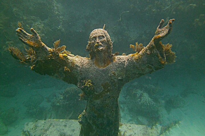 Key Largo Coral Reef Half Day Snorkel Trip