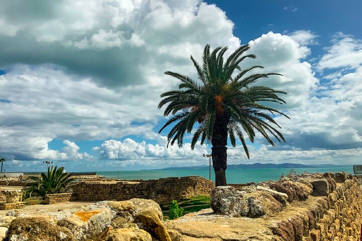 The charm of the capital: Carthage Sidi Bou Saïd and the Medina