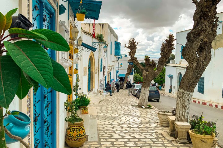 Private Day Trip Tunis Carthage Sidi Bou Said