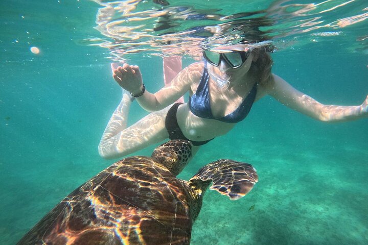Mirissa Unforgettable Snorkeling Experience with Turtles