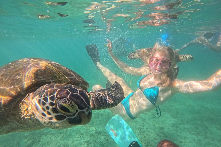 Mirissa Unforgettable Snorkeling Experience with Turtles