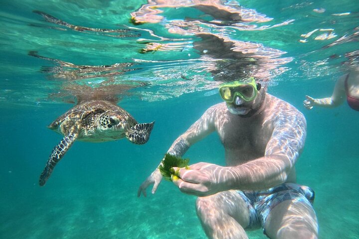 Mirissa Unforgettable Snorkeling Experience with Turtles