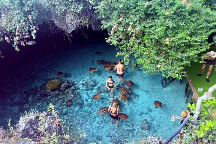 Kuza Cave Tour; Paje Beach; The Rock; Jozani Forest, Salaam Cave