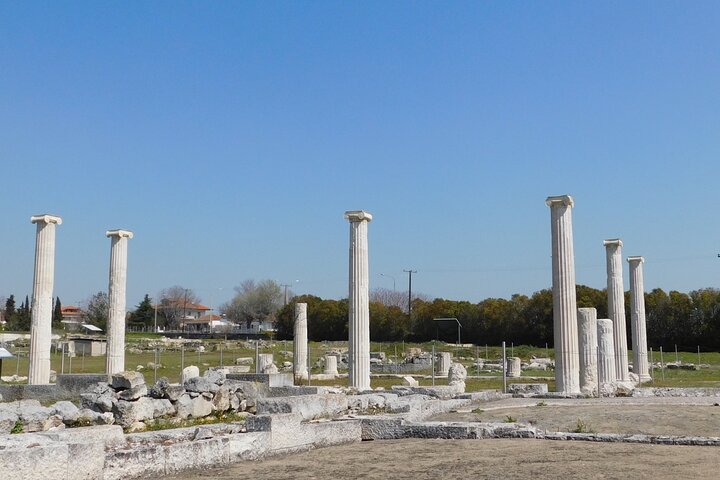 Alexander the Great Experience: Private Tour Vergina and Pella