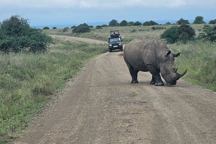 Nairobi National Park, Sheldrick Elephant, Giraffe Centre Tour