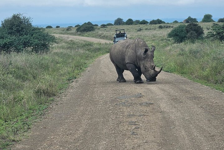 Nairobi National Park, Sheldrick Elephant, Giraffe Centre Tour