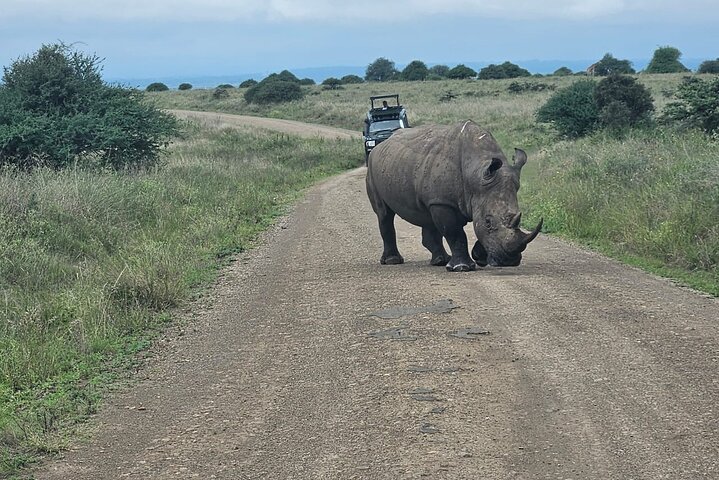 Nairobi National Park, Sheldrick Elephant, Giraffe Centre Tour