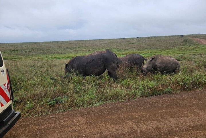 Nairobi National Park, Sheldrick Elephant, Giraffe Centre Tour