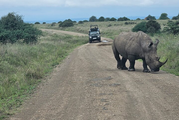 Nairobi National Park, Sheldrick Elephant, Giraffe Centre Tour