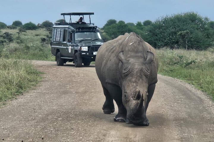 Nairobi National Park, Sheldrick Elephant, Giraffe Centre Tour