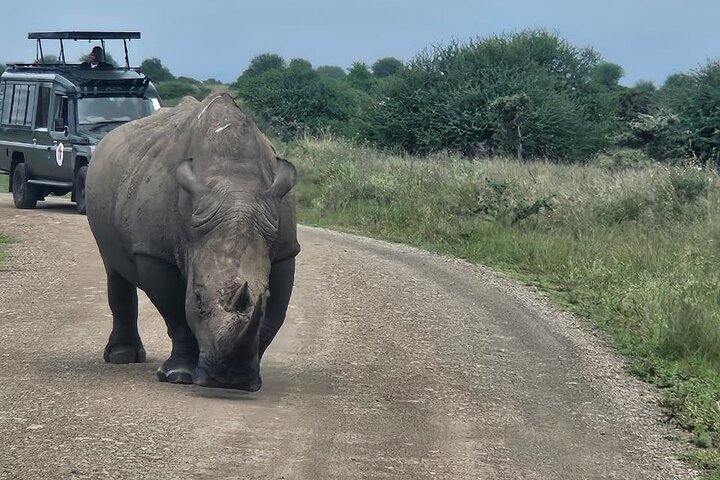 Nairobi National Park, Sheldrick Elephant, Giraffe Centre Tour