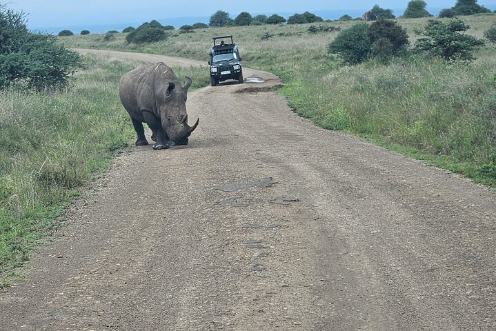 Nairobi National Park, Sheldrick Elephant, Giraffe Centre Tour