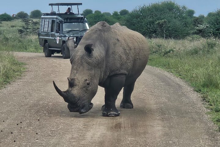 Nairobi National Park, Sheldrick Elephant, Giraffe Centre Tour