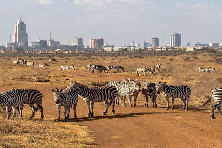 Nairobi National Park, Sheldrick Elephant, Giraffe Centre Tour