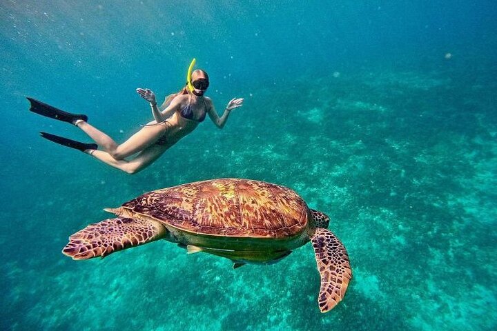 Gili Trawangan : Private Snorkeling with 3 spots or 4 spots