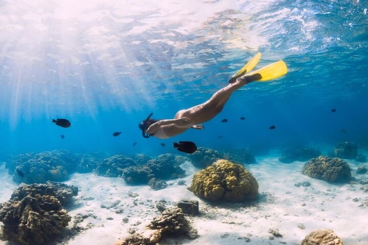 Gili Trawangan : Private Snorkeling with 3 spots or 4 spots