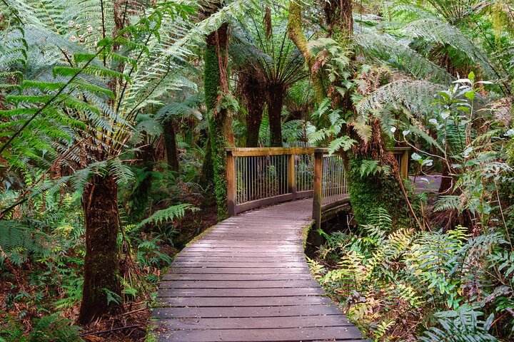 Australia’s Great Ocean Road Self-Guided Driving Audio Tour