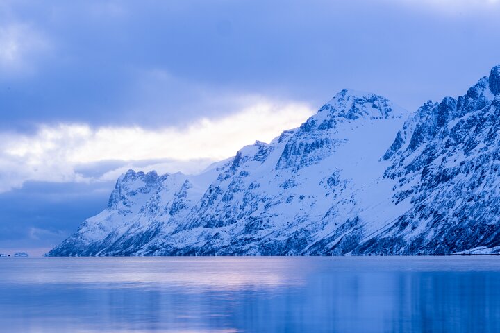 Tromsø: Fjord Adventure Tour with Wildlife and Lunch