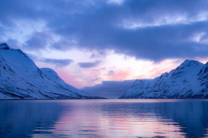 Tromsø: Fjord Adventure Tour with Wildlife and Lunch