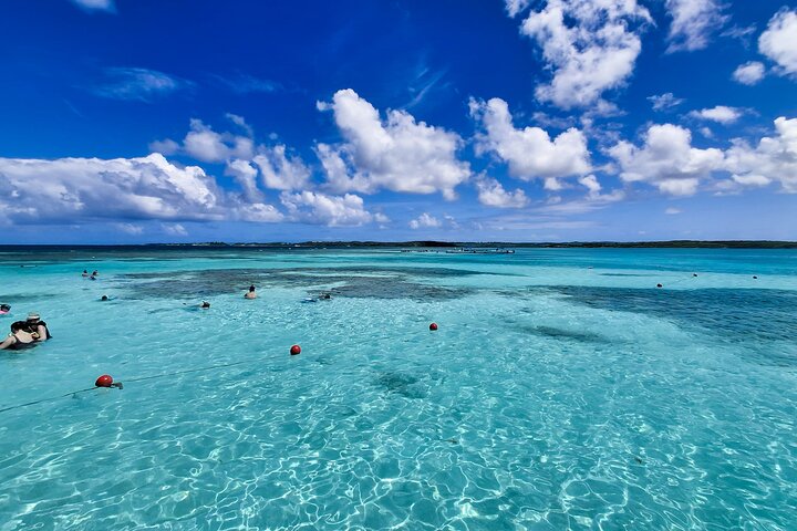 Antigua Stingray Experience with Hotel Pickup & Local Guide