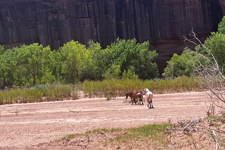 4 hour Canyon Combo Tours