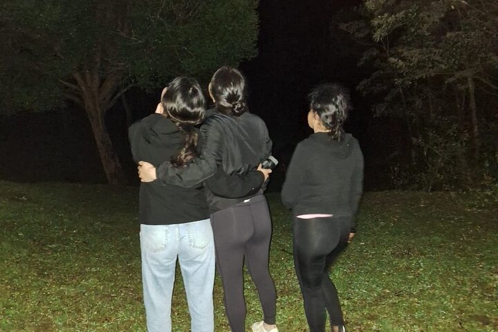 Monteverde Night Tour: Glass Frogs, lateralis, Sloths & Jungle