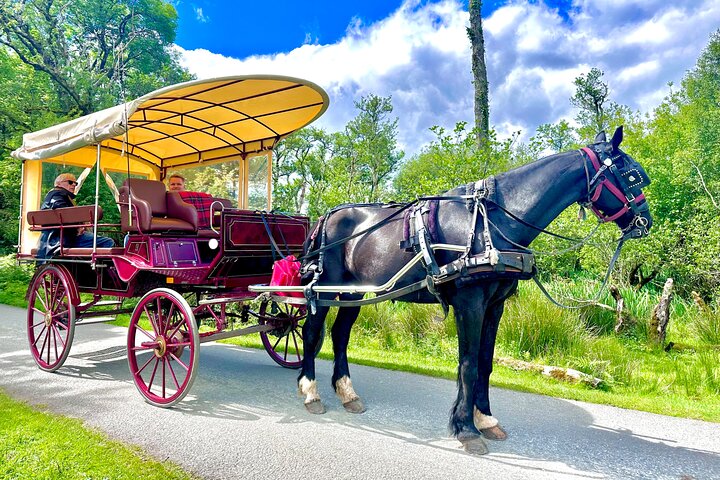 Killarney National Park Tour