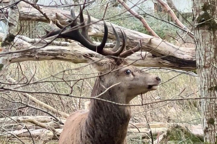 Killarney National Park Tour