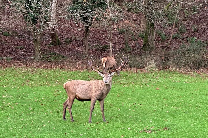 Killarney National Park Tour
