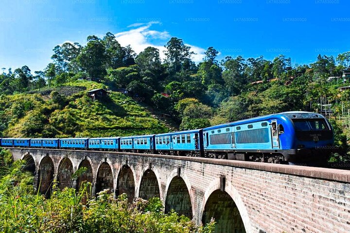 Yala Safari & Ella Sightseeing Day Trip - Private & All Inclusive