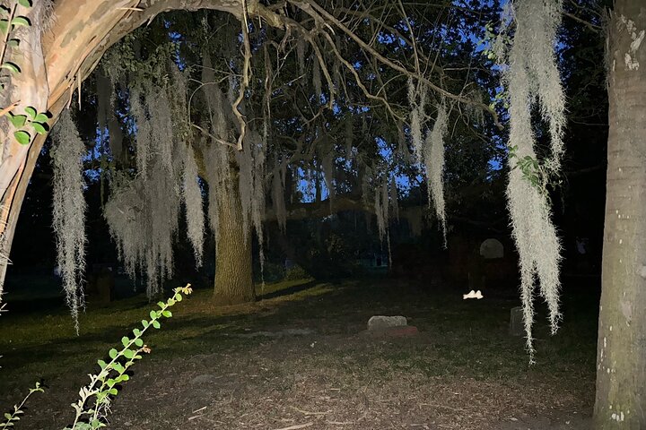 Savannah Haunted Pub Crawl Walking Tour
