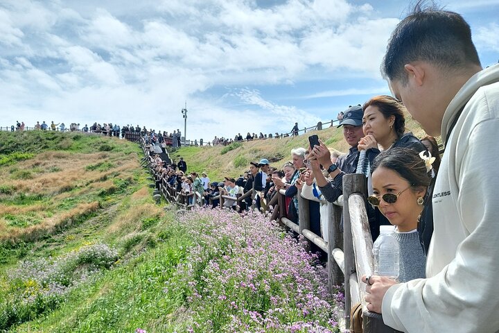 Half or Day Tour For Cruise customers arriving at Gangjeong Port