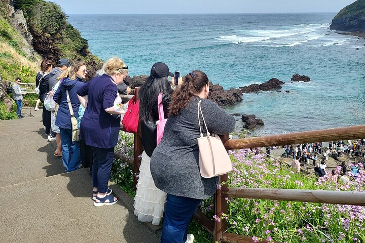 Half or Day Tour For Cruise customers arriving at Gangjeong Port