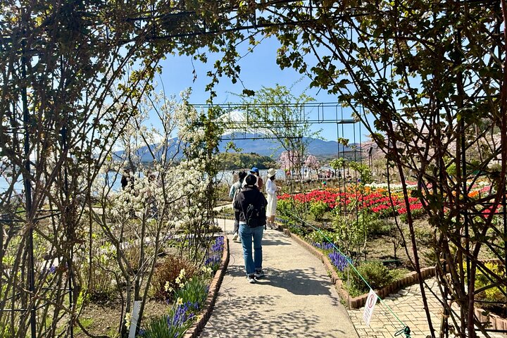 Tokyo: Customized Mt. Fuji & Hakone Sightseeing Private Day Trip