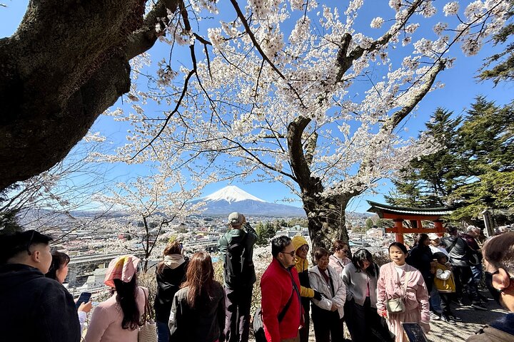 Tokyo: Customized Mt. Fuji & Hakone Sightseeing Private Day Trip