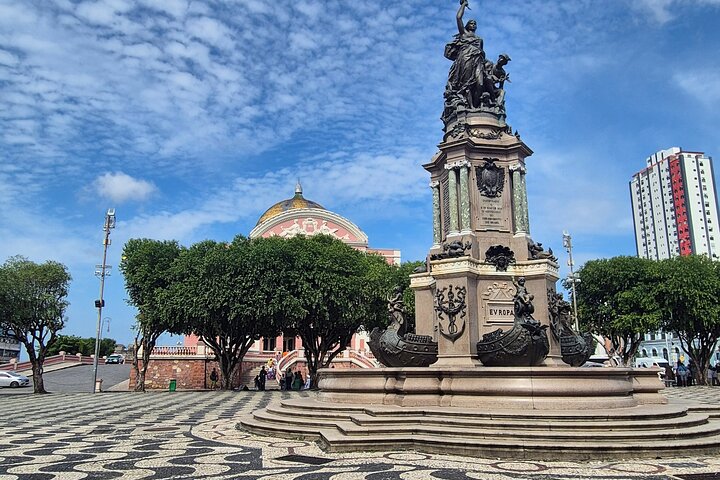 Manaus Private City Tour Amazonas Theater and the Hotel Pickup