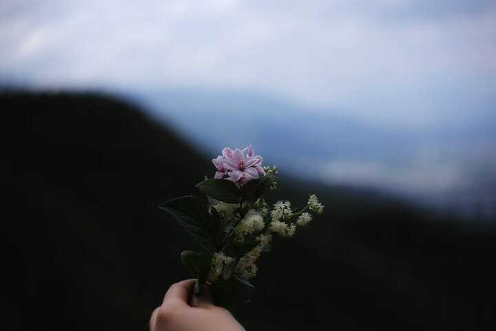 Cangshan Mountain hike and organic homemade dinner