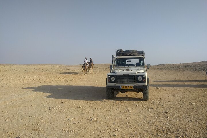 Explore Ramon Crater: 2-Hour Guided Jeep tour from Mitzpe Ramon