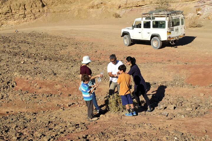 Explore Ramon Crater: 2-Hour Guided Jeep tour from Mitzpe Ramon