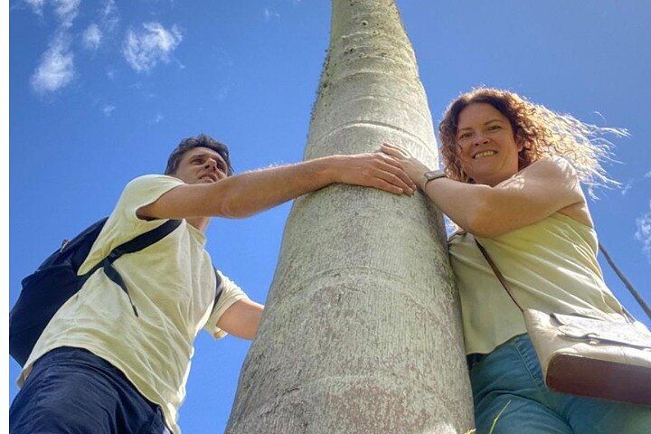 Salento, Cocora and Filandia Private Tour from Pereira or Armenia