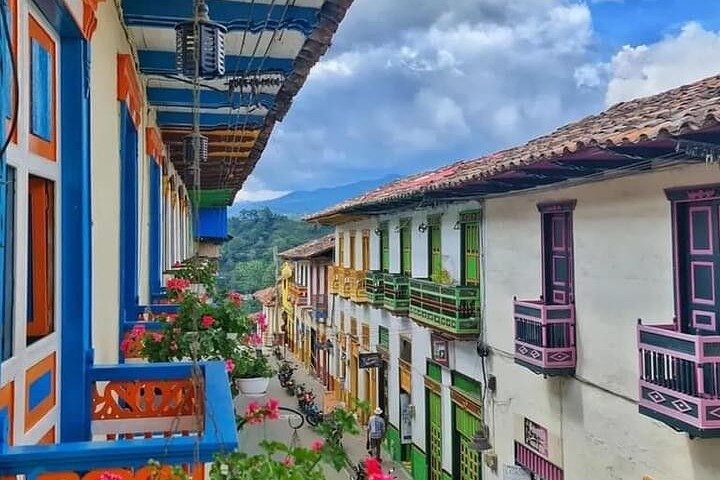 Salento, Cocora and Filandia Private Tour from Pereira or Armenia